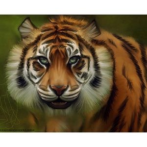 Stop hunting me! Stop killing us! #art #tiger